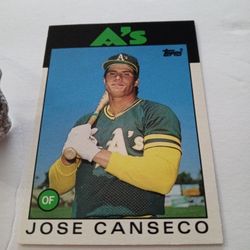 Collectible Baseball Card