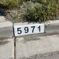 Professional Curb Address Painting 