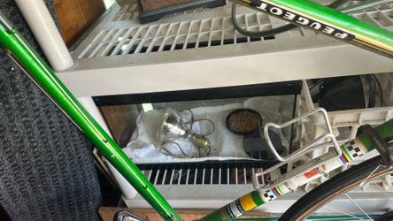 10 gallon reptile tank