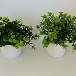Faux Plants 