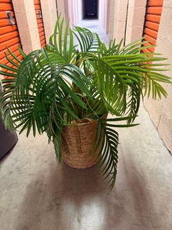 Artificial Palm Plant in Woven Basket