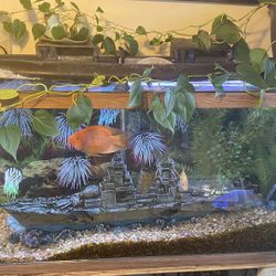 75 Gallon Aquarium, Lamp, Two 50 Gal. FluVal Filtration System, Aquarium Only, Plus Filtration System, Lamp. No Lid.