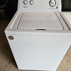 Labadora casi nueva,  tine menos de un an̈o