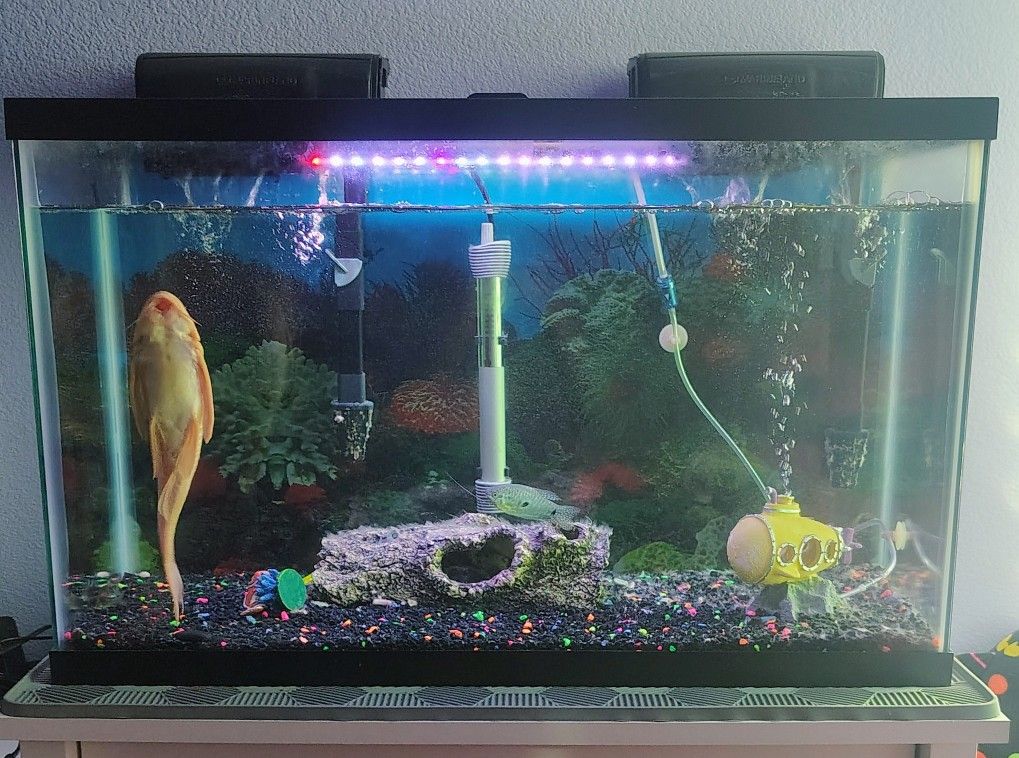 Fish Tank