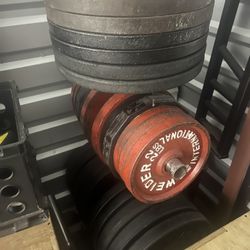 Olympic Weights And Powerlifting Bars, Trap Bar, Squat Rack, Wood Jump Box And Many More Weightlifting And Powerlifting Items