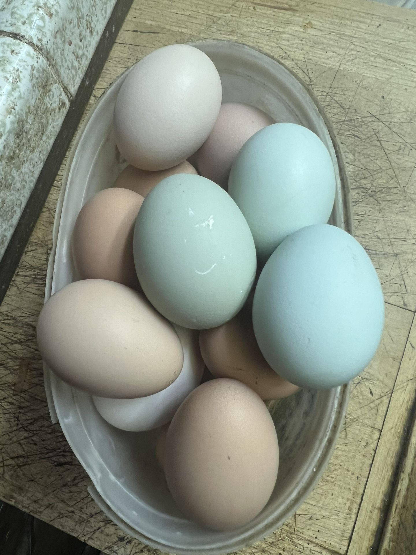 Farm Fresh Free Range Eggs