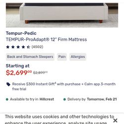 Bed Frame with A Box Spring And Mattress  It's Almost New