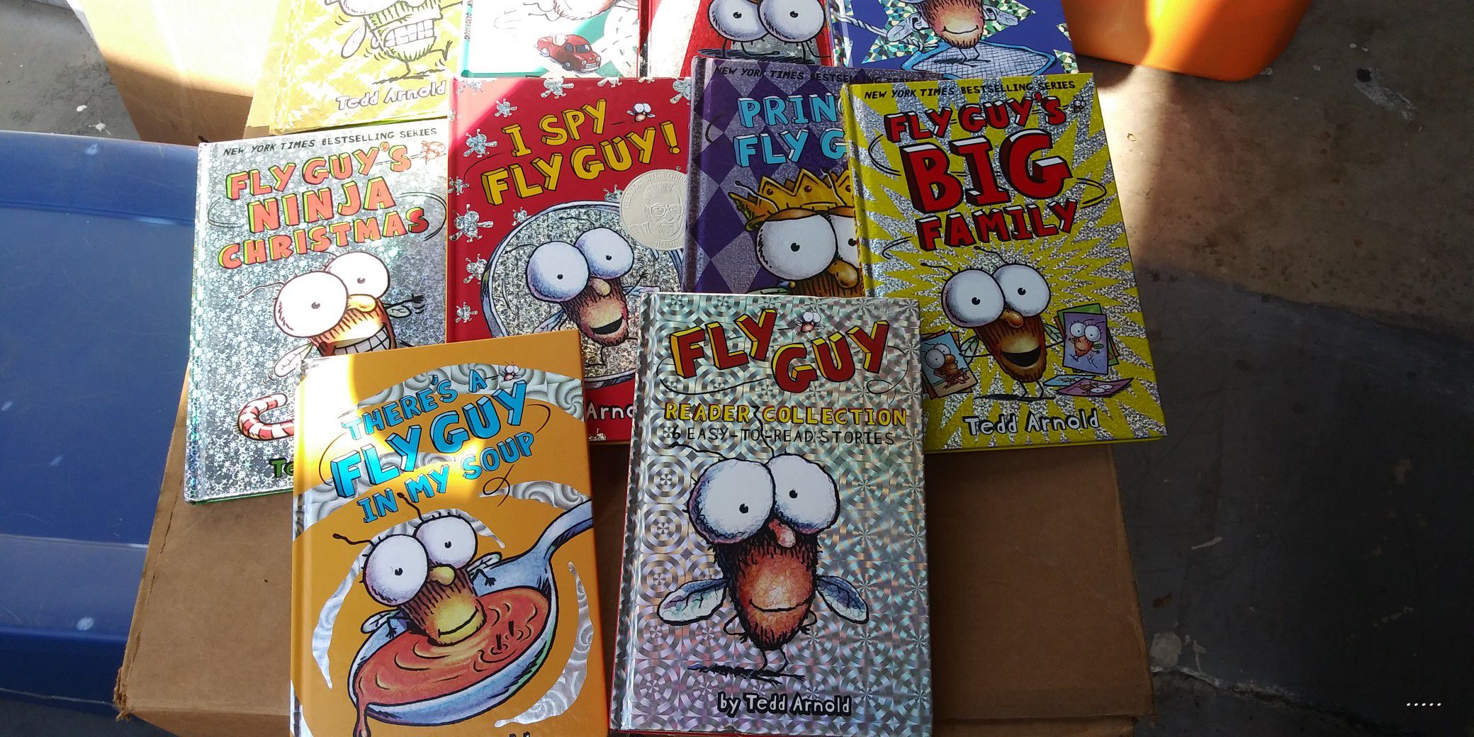 Fly Guy collection of books
