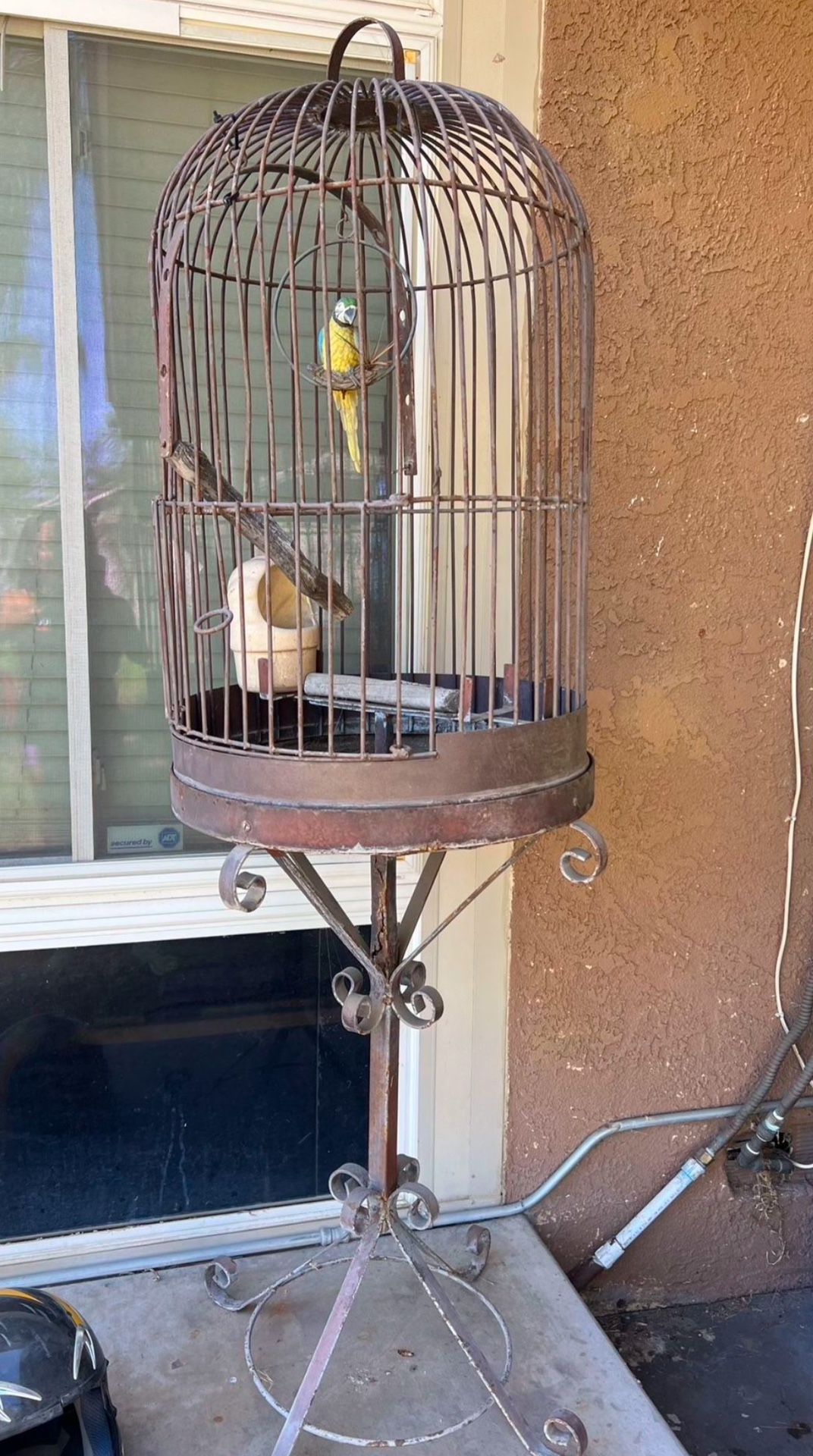 Bird Cage