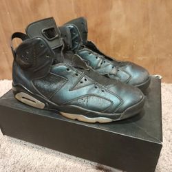 Jordan 6 Chameleon