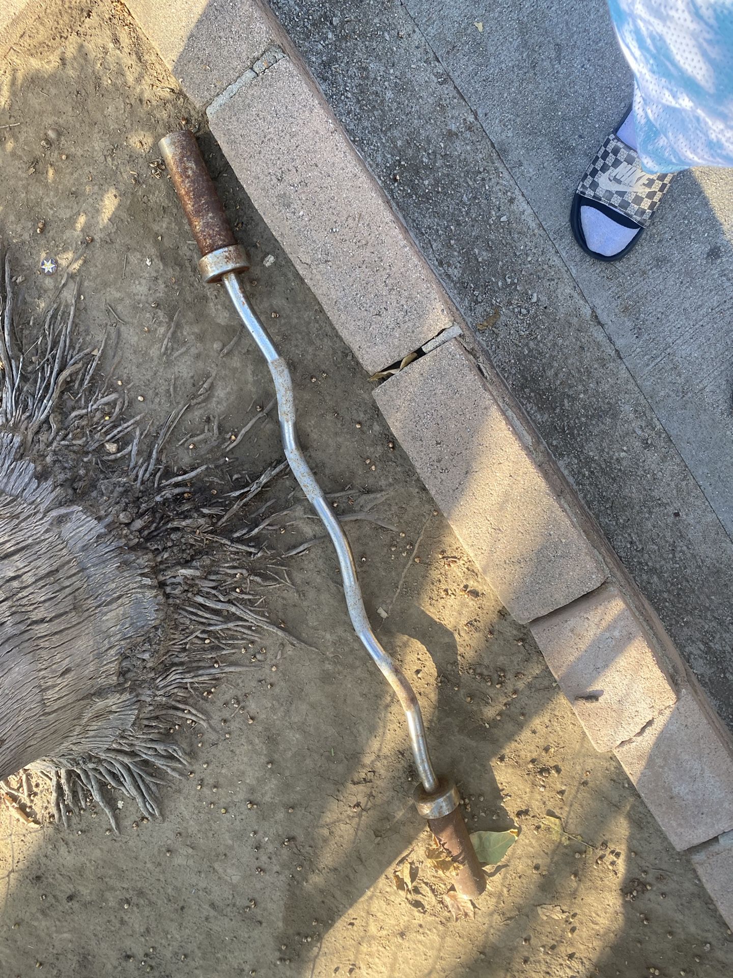 Curling Weightlifting Bar