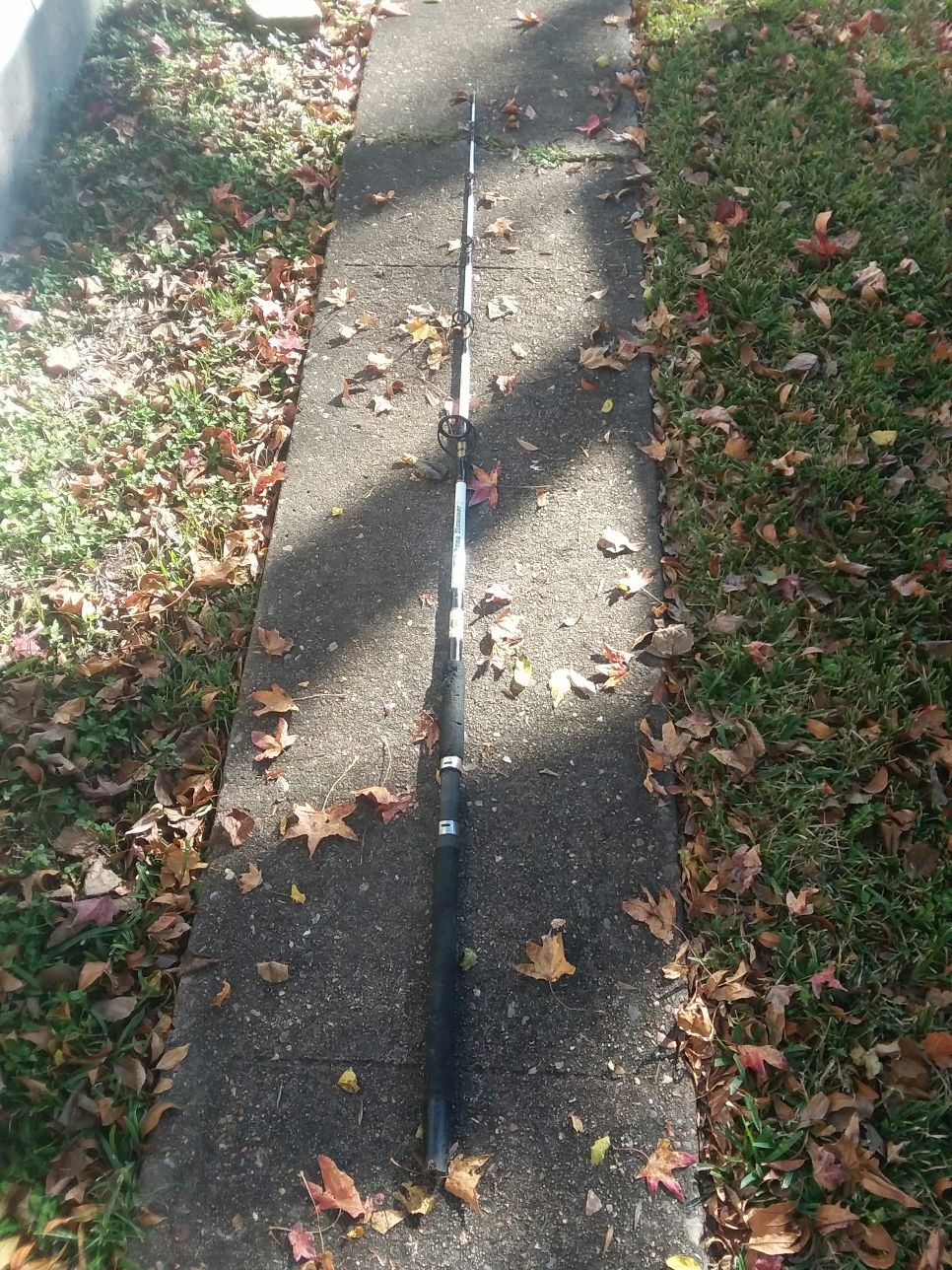 Penn slammer rod