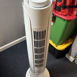 Oscillating Fan
