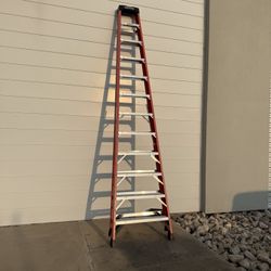 12 Foot Ladder