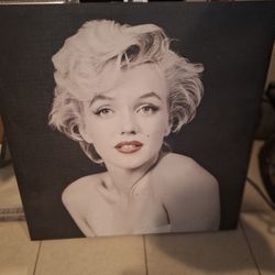 Marilyn Monroe Picture 