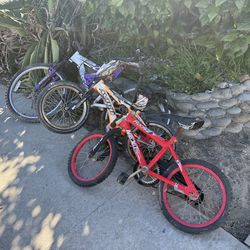 Kids Bikes
