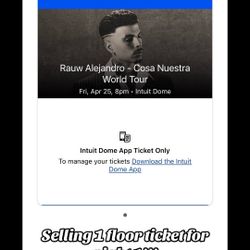 Rauw Alejandro Night 1 