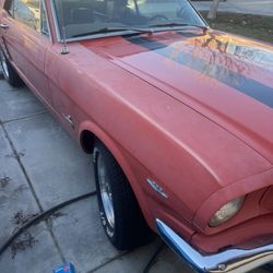 1964 1/2 Mustang