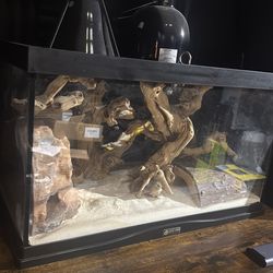 10 gallon with extras