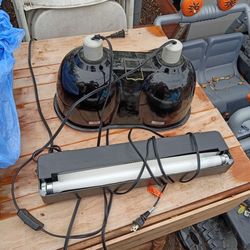 Heating lamp and UVB light