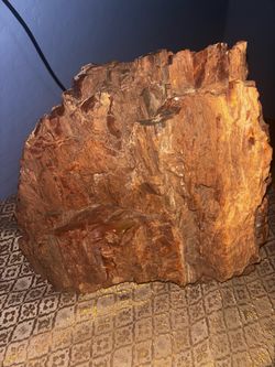 Petrified Wood 50lb