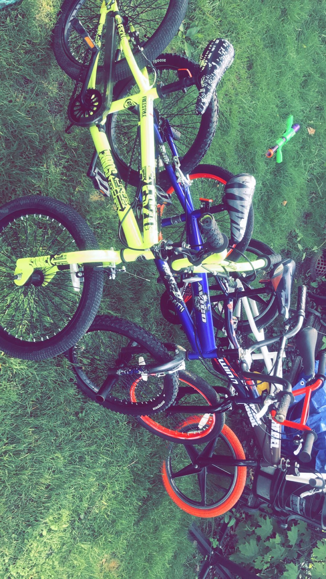 Bmx and dirt bike