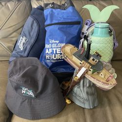 Disney Corkcicle