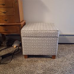Foot Rest/storage 