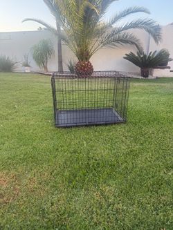 Dog training create cage