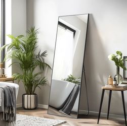 Long Full Mirror