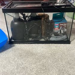 Reptile Tank 