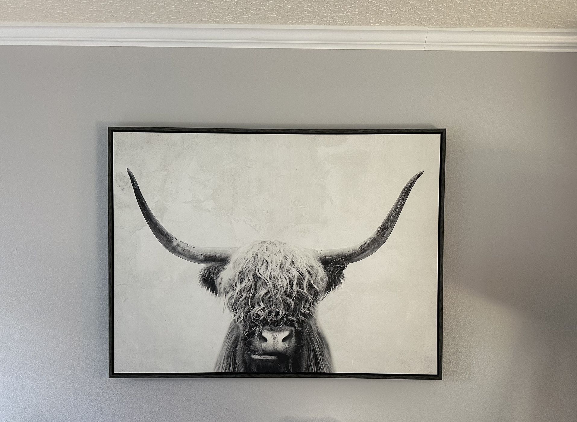 Highland Cow Canvas