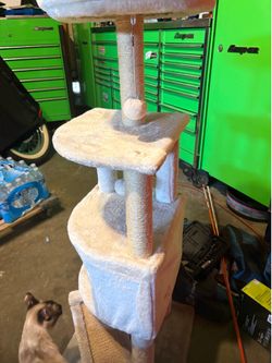 Árbol para gatos