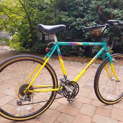 1990 19” Peugeot Ocean Express Bike