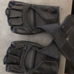 MMA Gloves