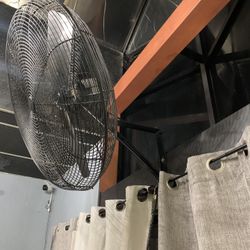 Fan