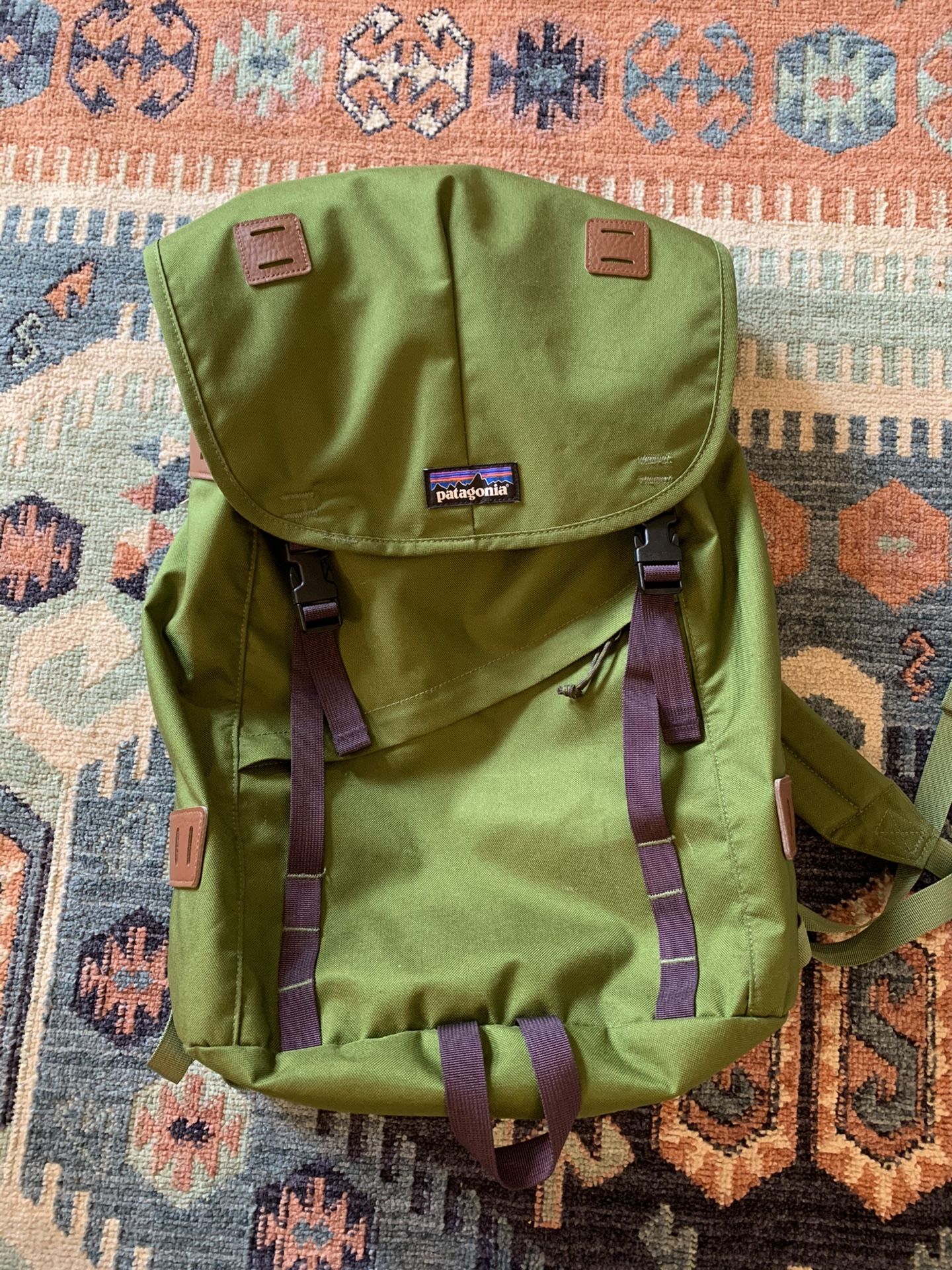 Patagonia Green Backpack