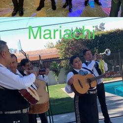 Trompeta Timbales Mariachi 