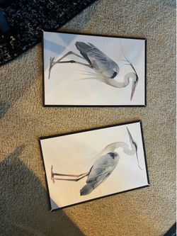 Bird Crane Prints and Frames 16x24inch