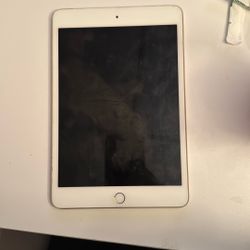 I-pad Mini