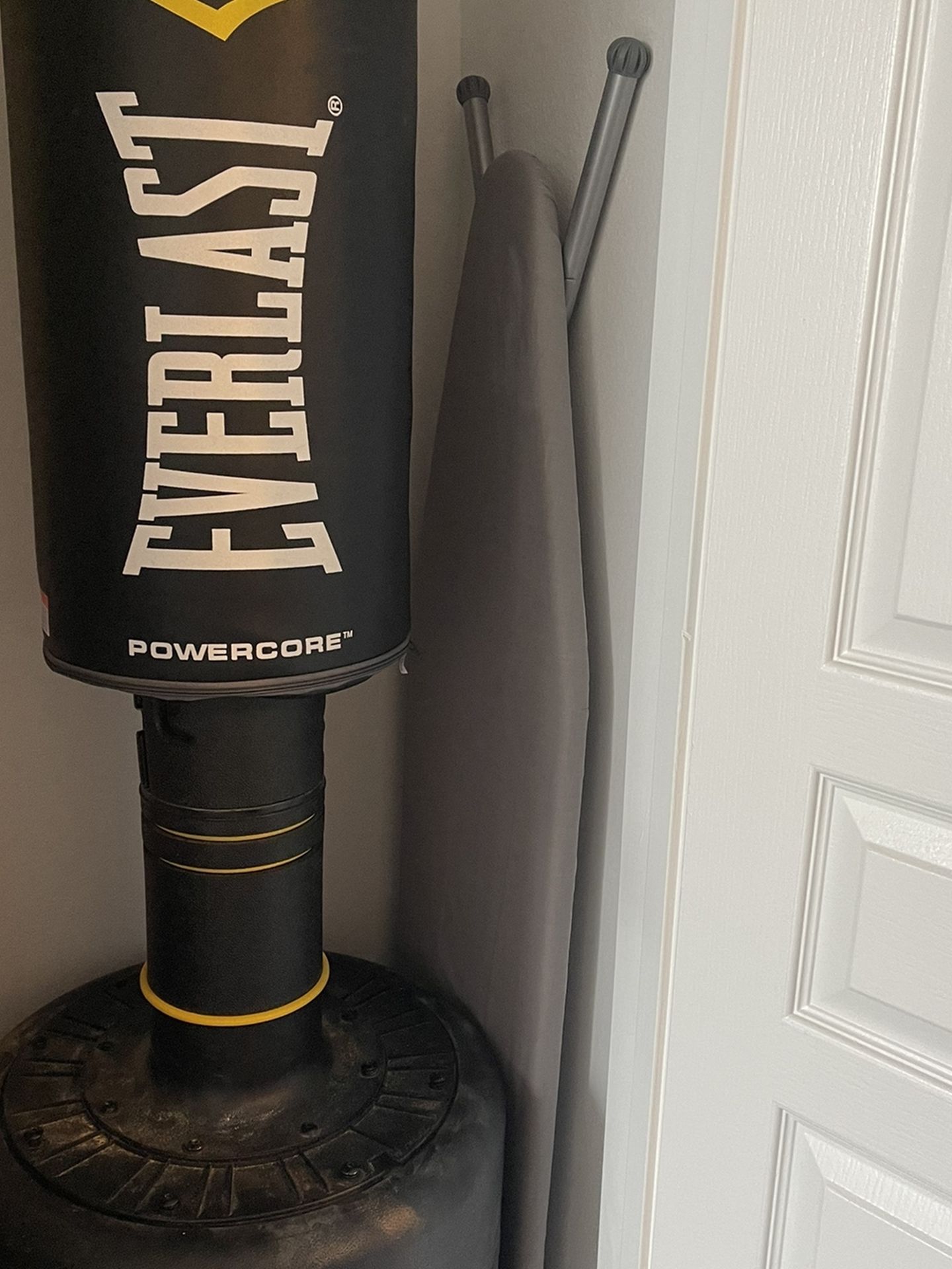 Everlast Punching Bag