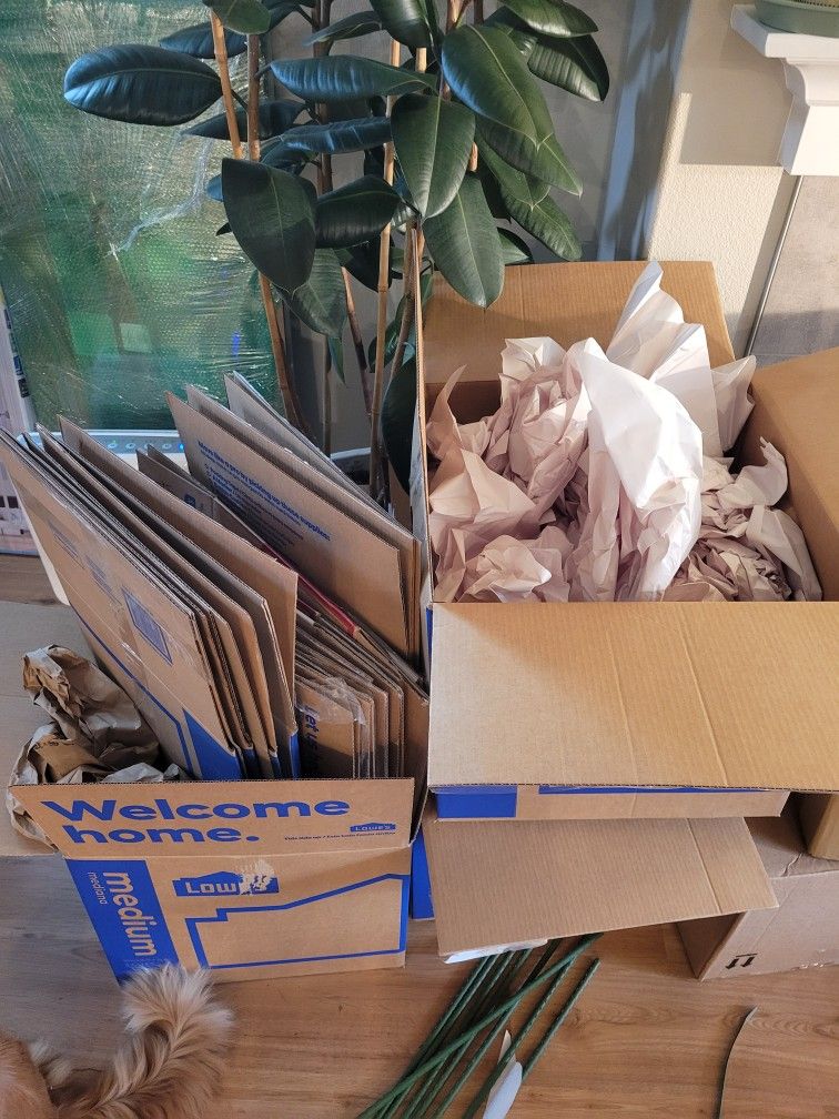 FREE Moving Boxes PENDING