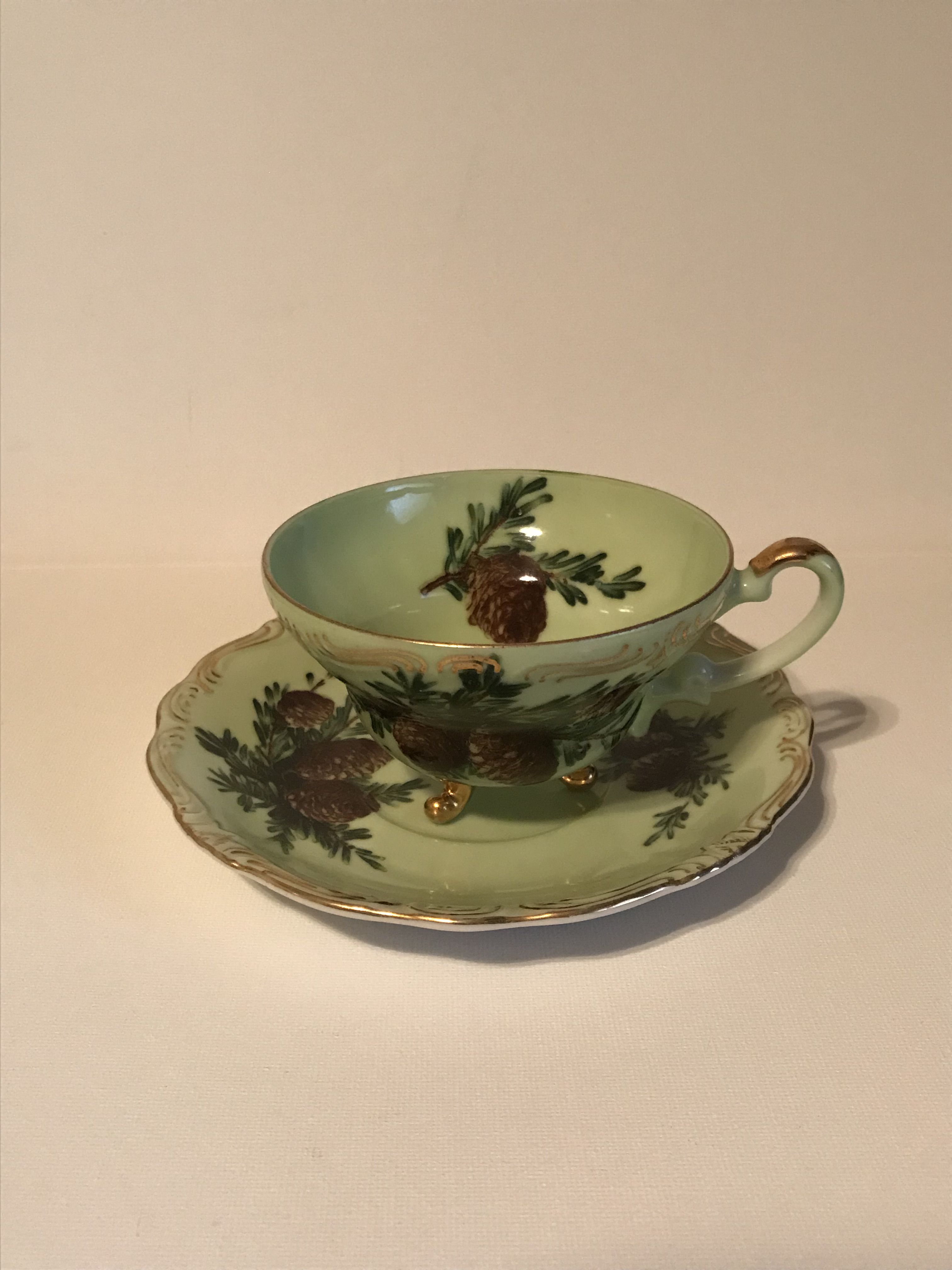 Antique China Tea Cup & Saucer With Pine Cones #6 / 790