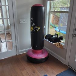 Water Based Punching Bag