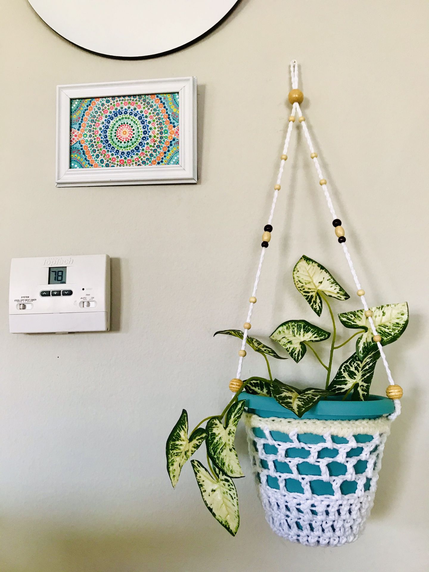 WHITE HANGER PLANT WITH POT (PLANT INCLUDED)