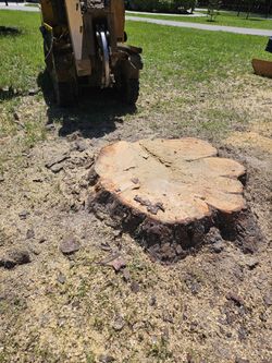Stump Grinding 