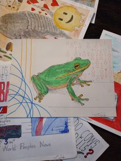 Mr. Frog
