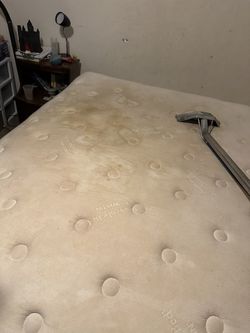 Shampoo Mattresses Cleaner