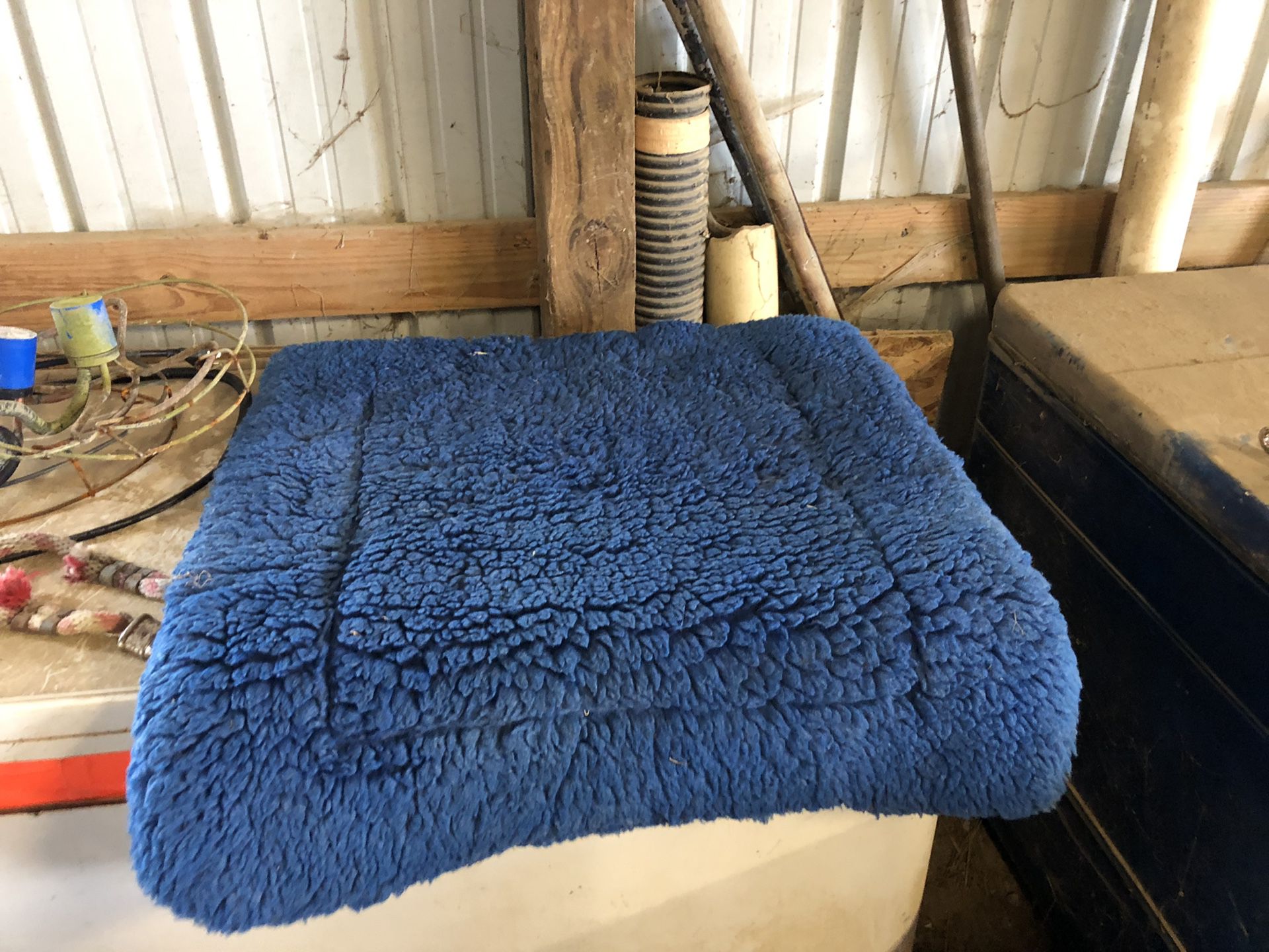 Blue saddle pad
