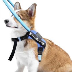 New Blind, Older Dog Harness Small. Blue 